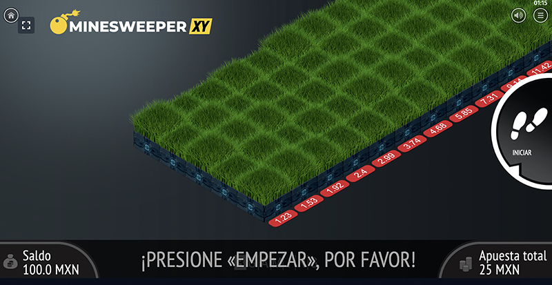 minesweeper xy